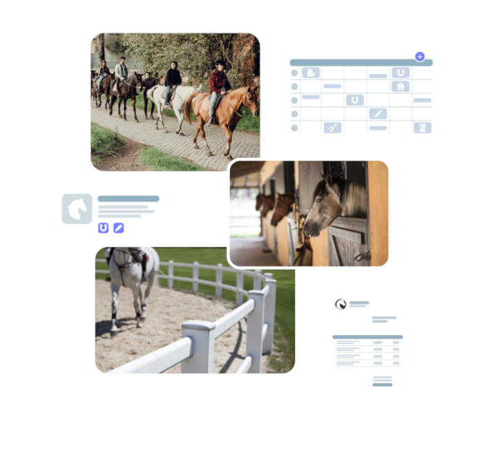 Un logiciel de gestion et facturation pour écurie de propriétaire